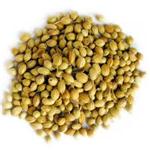 DHANIYA SABUT 500GM
